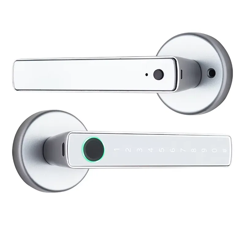 YMC Schlüsselloser Elektronisc – Door Handle Bewertung und Preis