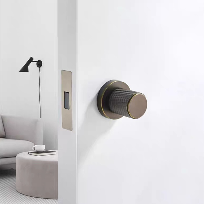 Moderner Holz-Gold-Silent-Rund – Door Handle Bewertung und Preis